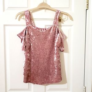 Francesca's Pink Velvet Top